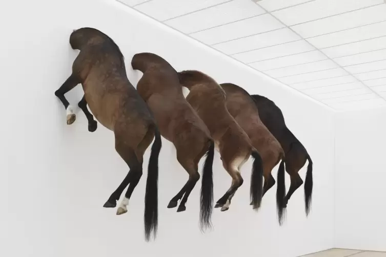 Wer wird den gleich den Kopf in die Wand stecken? Werk von Cattelan. 