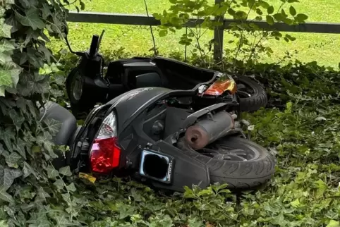 Geklaut und irgendwo entsorgt. Häufig landen gestohlene Motorroller im Gebüsch, wie hier am Ebertpark.