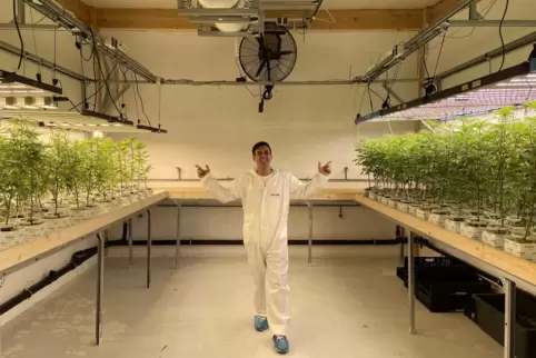 Stolz: Miami Hempire-Vorsitzender Rico Cakir zwischen Cannabis-Pflanzen.