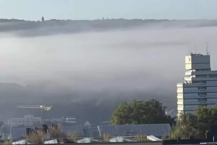 Nebel wabert dieser Tage h&auml;ufiger &uuml;ber der Stadt. 