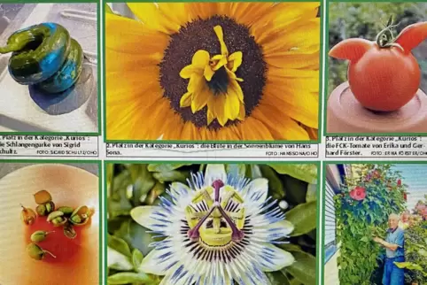 Ein Teil der Gewinner der RHEINPFALZ-Gartenolympiade.