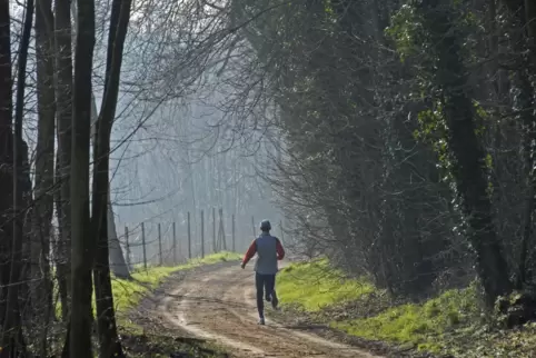 Bietet auch bei Nebel schöne Ausblicke: Joggen im Pfälzerwald. 