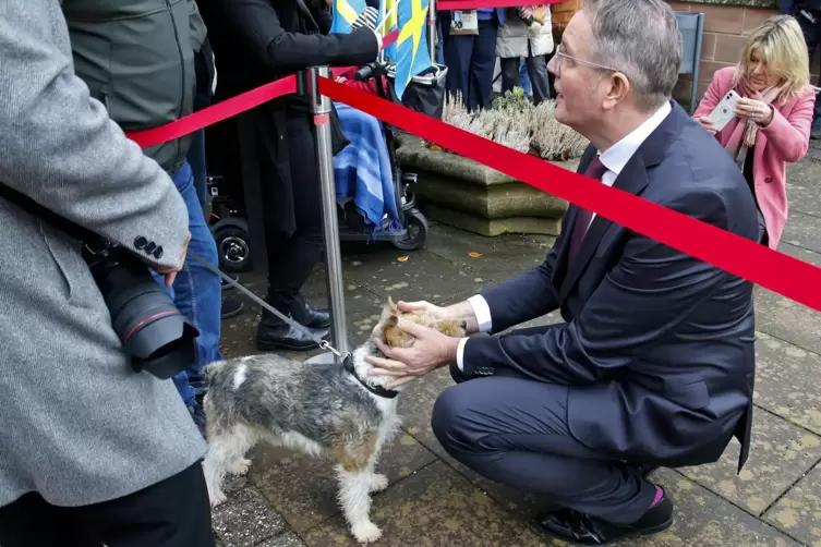Auf Schnupperkurs: Ministerpr&auml;sident Alexander Schweitzer begr&uuml;&szlig;t Fritz Ewigs Foxterrier-R&uuml;de Toto. 