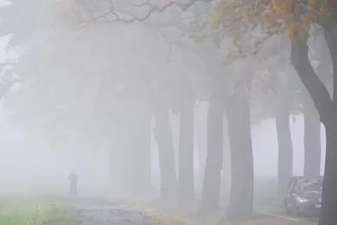 Auch in den kommenden Tagen wird es immer wieder neblig-trüb. Die Woche startet regnerisch. 