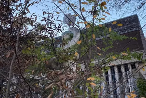 Zugewuchert: Auch das Kunstwerk im Grün war mal Teil des Skulpturengartens. Dahinter: Parkhaus Kaufhof. Zugewuchert: Auch das Kunstwerk im Grün war mal Teil des Skulpturengartens. Dahinter: Parkhaus Kaufhof.