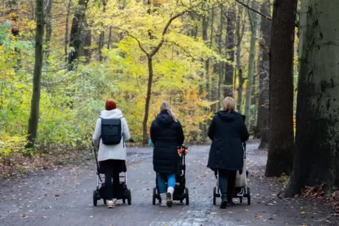 Spazierengehen tut gut – gerade auch im Herbst. Spazierengehen tut gut – gerade auch im Herbst.
