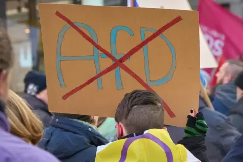 Im Januar demonstrierten Hunderttausende gegen Rechtsextremismus – insbesondere gegen Remigrations-Pläne der AfD, die das Recher