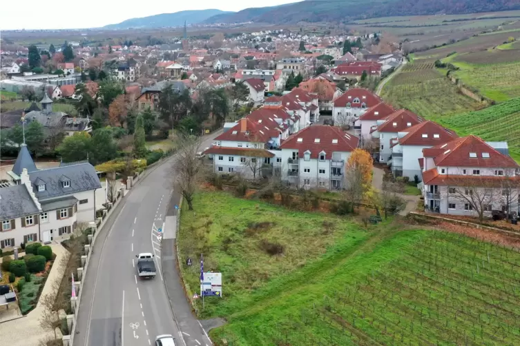 Auf der dreieckigen Fläche zwischen Wingert und Wohnanlage am nördlichen Ortsausgang von Deidesheim plant die Stadt eine Parkflä