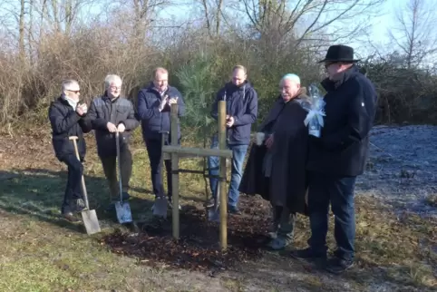 Fritz Schumann begoss die Pinie rituell mit Wein in der Runde der Helfer (von links): Hans van Hauth und Jürgen Bohl, Bürgermeis