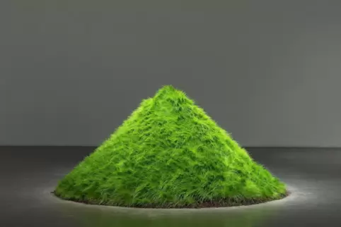 Erst mal sehen was passiert: Haackes „Gras wächst“, erstmals 1965 auf einem New Yorker Dach realisiert, gehört jetzt einem Schei
