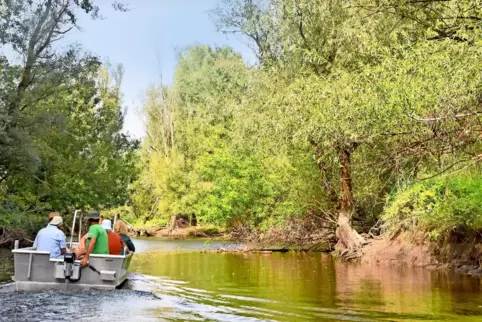 Durch die Sümpfe des Naturparks Kopacki rit auf der Drau bei Osijek geht es am besten per Boot. 