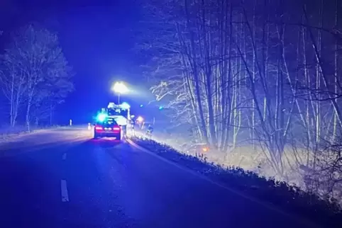 Die Unfallstelle im Wald. 