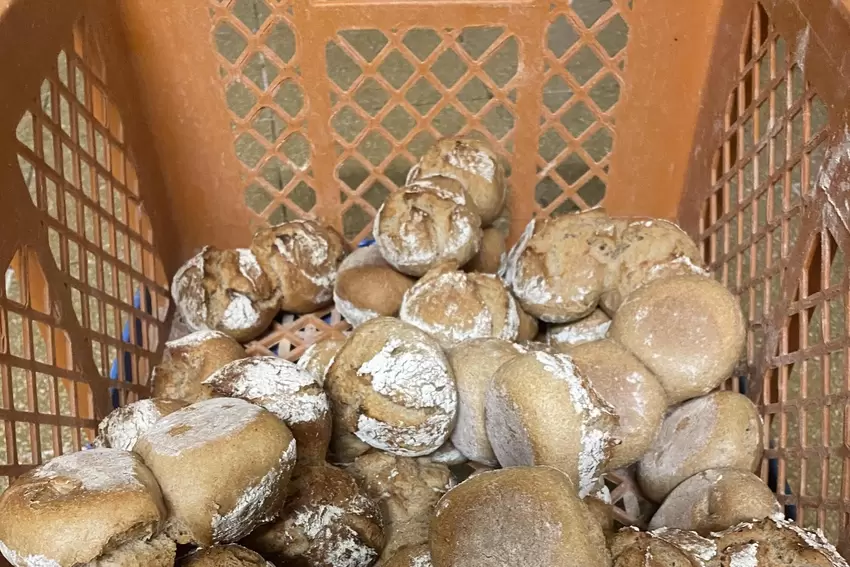 Roggenbrötchen sind eine Spezialität der letzten Handwerksbäckerei in Germersheim.