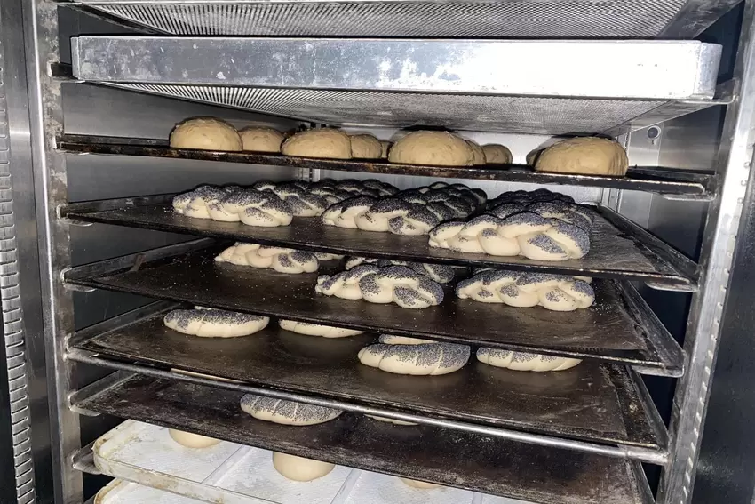 Mohnzöpfe, Mohnhörnchen und Brötchen garen im Garautomaten vor.