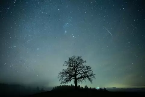 Der Sternschnuppenstrom der Geminiden erhellt im Dezember 2024 den Nachthimmel - auch über der Pfalz. 