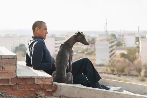 Werden Weggefährten: Außenseiter Lang (Eddie Peng) und der Straßenhund Xin.