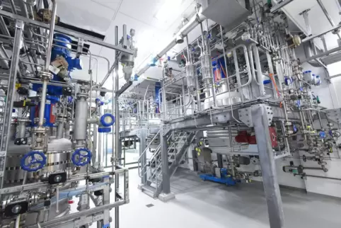 Röhrendickicht in Edelstahl: Im neuen BASF-Technikum sollen einmal bis zu 200 Anlagen Platz finden. 