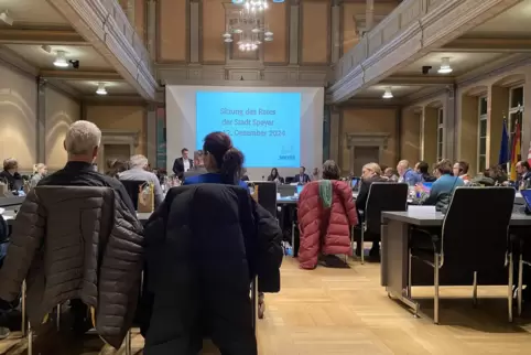 Donnerstagabend: Stadtrat debattiert den Haushalt. Donnerstagabend: Stadtrat debattiert den Haushalt.