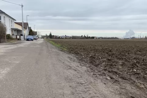 Wie hier im Edigheimer Zinkig sollen Ackerflächen bebaut werden. 