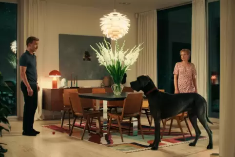 Der Mann und sein Hund: Albrecht Schuch in „Pfau – Bin ich echt?“ von Bernhard Wenger. 