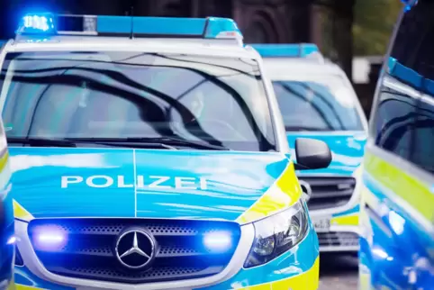 Eine Reihe von Polizei-Einsatzfahrzeugen hat am Mittwoch in Wolfstein für Aufsehen gesorgt. 