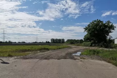 Gewerbegebiet Dannstadt Ost: Ob der zweite Bauabschnitt folgen kann, ist wegen des Pappelwäldchens und der Waldfläche im Hinterg