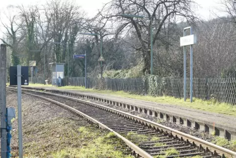 Viele Schüler aus dem Schwarzbachtal nehmen nach Schulschluss den Zug. Wegen Bauarbeiten war die Strecke zwischen Zweibrücken un