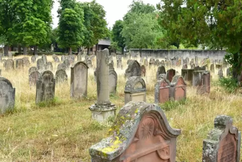 Der jüdische Friedhof in Wachenheim. 