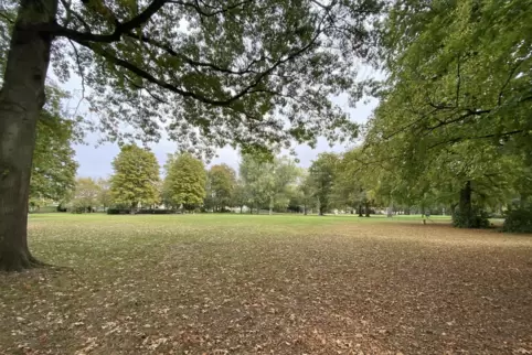 Der Bürgerpark in Wörth soll attraktiver gemacht werden, unter anderem mit Fitnessgeräten. 