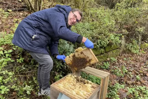 Pascal Biebel bei der Arbeit am Bienenstock.