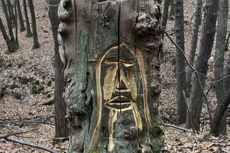 Markante Stelle unterwegs: der Bildbaum. 