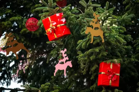 Auch in der Pfalz sind Weihnachtstraditionen allgegenwärtig.