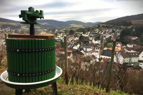 Immer wieder gibt es auf dem Leienbergwerg schöne Aussichten - wie hier über Wolfstein. 
