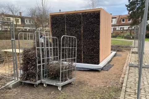 Bauarbeiten in den letzten Zügen: Reisig wird in Speyerer Gradierwerk eingebaut. Bauarbeiten in den letzten Zügen: Reisig wird in Speyerer Gradierwerk eingebaut.