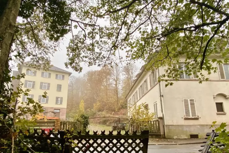 Im fr&uuml;heren BASF-Haus in Dannenfels rollten die Bagger auf dem Gel&auml;nde an. Was der Eigent&uuml;mer vor hat, verriet er noch nicht. 