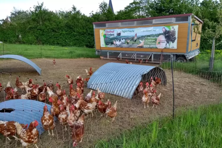 Auch ins Visier von Tiersch&uuml;tzern geriet 2024 der Betreiber eines mobilen H&uuml;hnerstalls, weil er seine Tiere vernachl&auml;ssigt haben