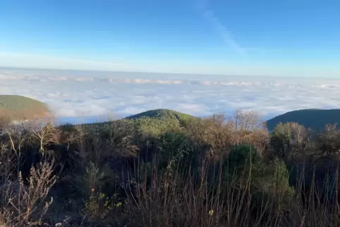 Über den Wolken: Wenn die Rheinebene im Nebel liegt, ist es auf der Kalmit häufig sonnig. 