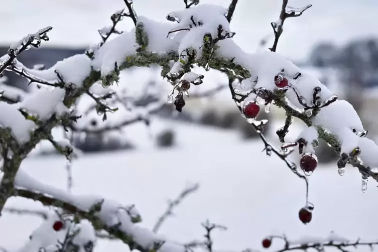 Regen – Schnee – Tauwetter, die Trilogie der nächsten Tage. 