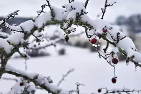 Regen – Schnee – Tauwetter, die Trilogie der nächsten Tage. 