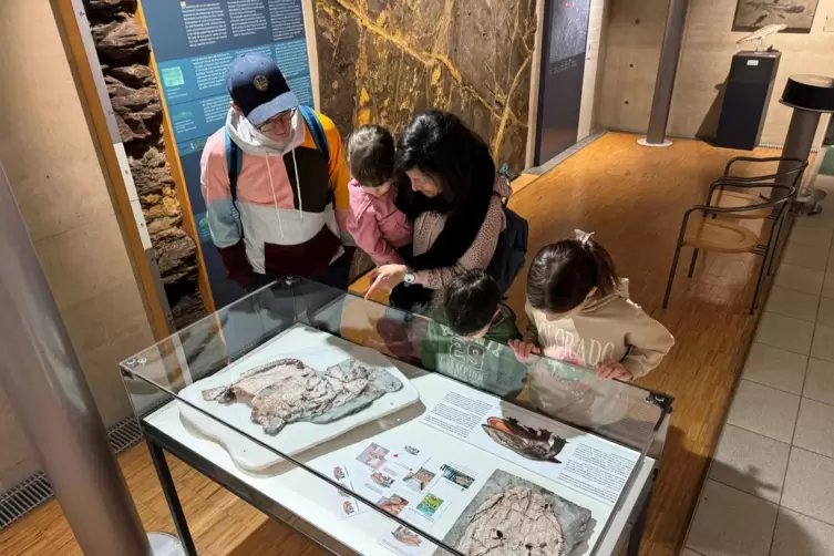 Zuerst war nicht vorgesehen, &bdquo;Boldi&ldquo; in die Dauerausstellung des Geoskops einzubauen. Durch die mediale Wirkung wurde das aber n