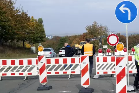 Die L480 ist die wichtigste Verbindung von Großsteinhausen Richtung Zweibrücken, wo sie zur Steinhauser Straße (Foto) wird. Die L480 ist die wichtigste Verbindung von Großsteinhausen Richtung Zweibrücken, wo sie zur Steinhauser Straße (Foto) wird.