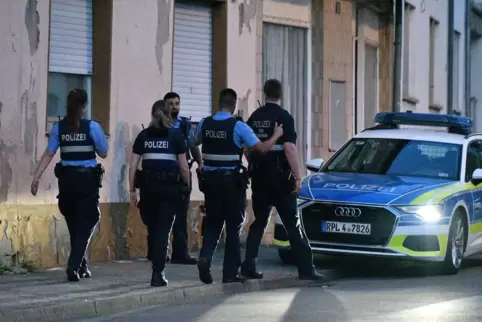 n Notsituationen erreicht man die Polizei auch in Zukunft unter der Rufnummer 110.