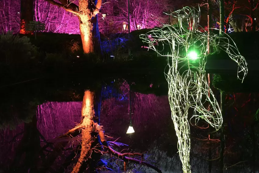 Auch die Drahtfigur in einem Becken in der Parkmitte wurde ins Szene gesetzt.
