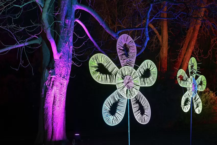 Flower Power: Die Blumen erinnern an die Siebziger.
