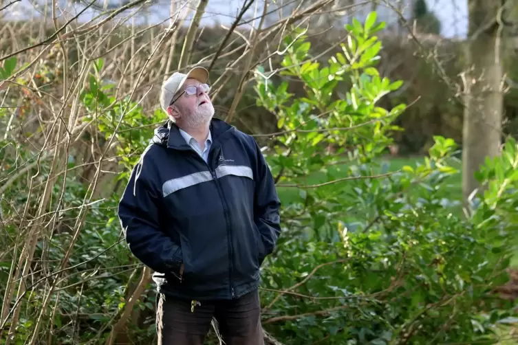 Hans-Peter Demand hat ein Nest der eingewanderten Hornissenart in der N&auml;he seiner Wohnung in Landau entdeckt.