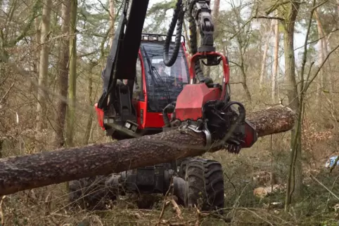 Wird für Waldarbeiten eingesetzt: ein Harvester. 