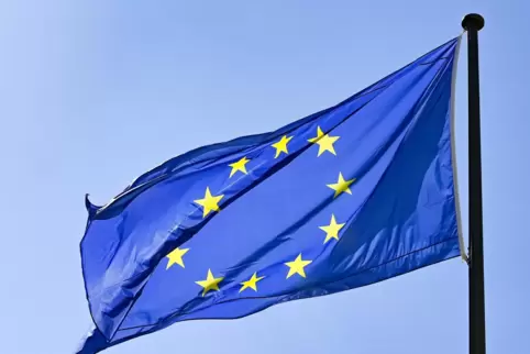 Aus dem EU-Topf steht eine halbe Million Euro für Rhein-Haardt-Projekte zur Verfügung. 