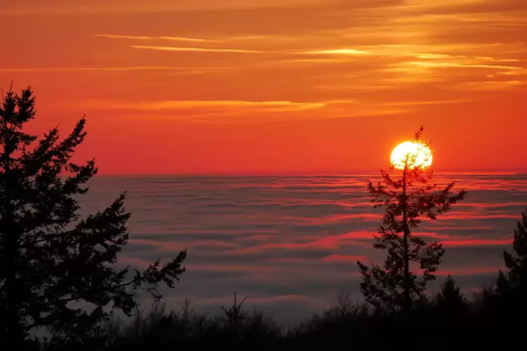 Auf dem Ludwigsturm geht die Sonne &uuml;ber einer dichten Nebeldecke unter. 