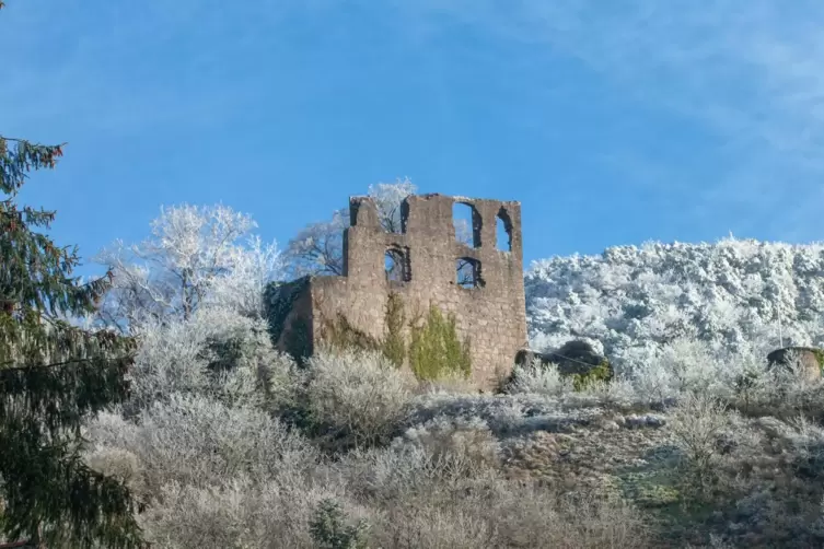 Die Burgruine Falkenstein bei strahlend blauem Himmel und in malerischer Winterkulisse konnte Gerhard Jendryschik bestaunen. 