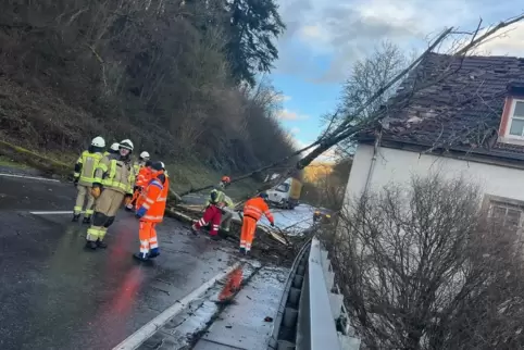 Bis der Baum auf der b420 bei Patersbach zersägt war und die Straße wieder freigegeben werden konnte, dauerte es gut drei Stunde